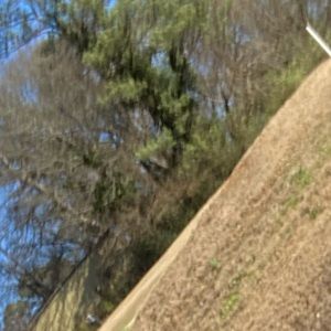 Meet your Posher, Stanley